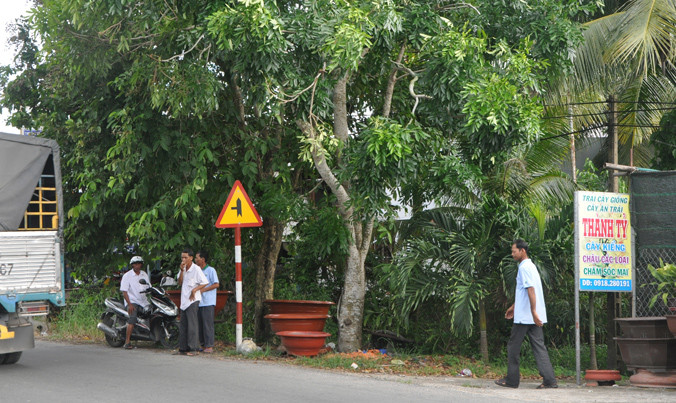 Vị trí mặt tiền (nơi có biển báo giao thông) là lô đất đã cấp cho ông Lưu Thành Tín.