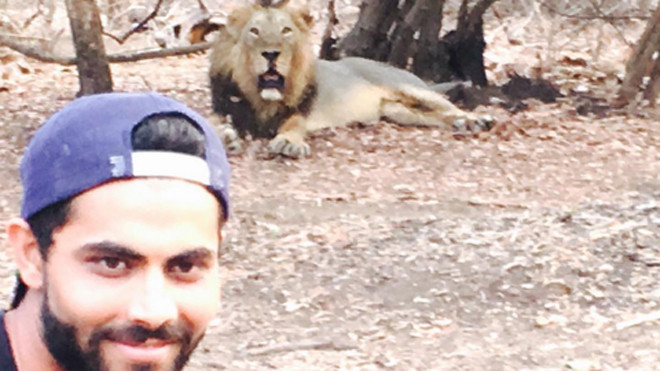 Bị phạt vì chụp ảnh tự sướng với sư tử 