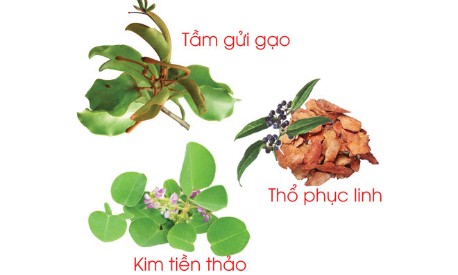 Ảnh: Thảo dược quý cho bệnh nhân.