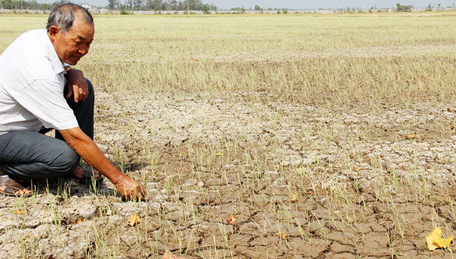Người dân đồng bằng sông Cửu Long phải chờ ít nhất hai tuần nữa nước từ thủy điện Cảnh Hồng mới về đến. Ảnh: H.Long.