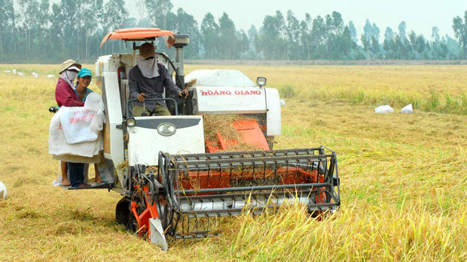 Áp dụng sản xuất nông nghiệp thông minh giúp nông dân ĐBSCL khắc phục hạn mặn, tăng giá trị gia tăng.