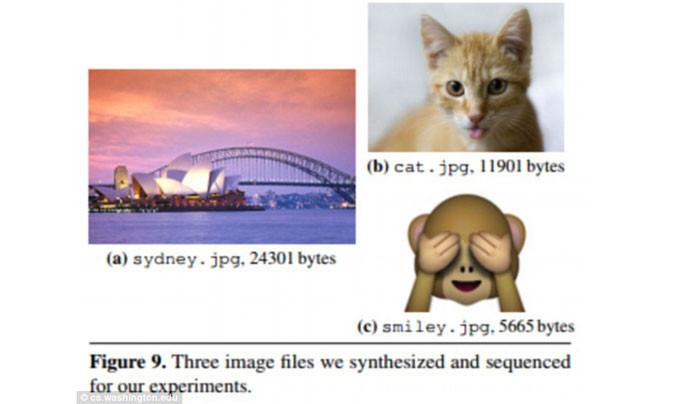 Dữ liệu số sẽ được lưu vào ADN