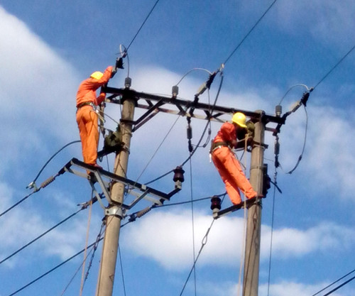 Ảnh minh họa. Nguồn: Internet