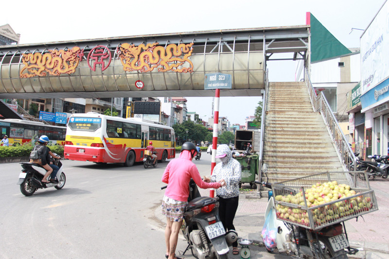 Nhếc nhác cầu vượt bộ hành. 