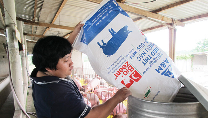 Kiếm tiền tỷ từ chăn nuôi heo: Ðâu là mẫu số chung?