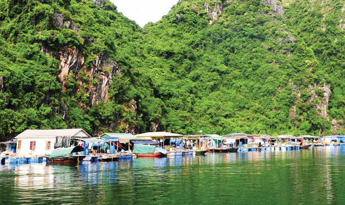 Làng chài Cửa Vạn.