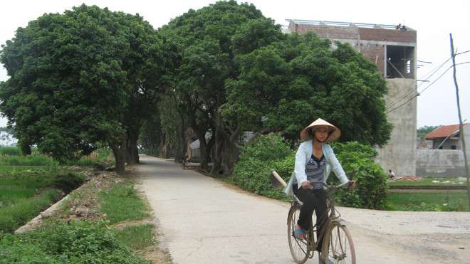 Các tiêu chí NTM trong giai đoạn tới sẽ được điều chỉnh linh hoạt theo vùng miền. Ảnh: Quốc Khánh.