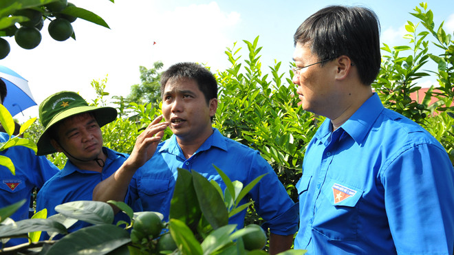 Anh Khổng Văn Nam (giữa) giới thiệu với Bí thư thứ nhất T.Ư Đoàn Lê Quốc Phong về giống chanh bốn mùa cho nhiều nước, năng suất cao. Ảnh: Xuân Tùng.