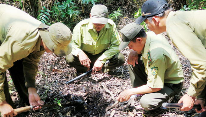 Kiểm tra nước dưới chân rừng tràm.