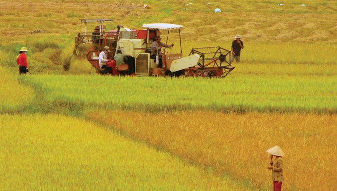 Xuất khẩu nông sản đạt hơn 30 tỷ USD.