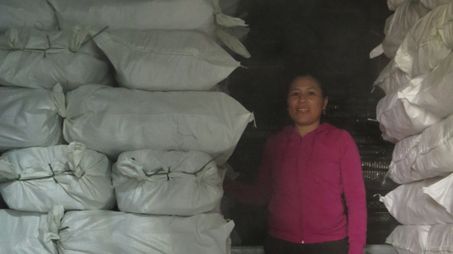 Các kho lạnh đang chất đống cá, không bán được.