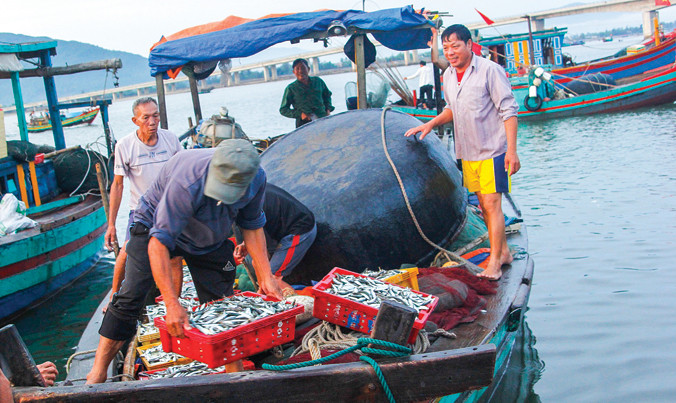 Ngư dân xã Cẩm Nhượng (Cẩm Xuyên) và Thạch Kim (Lộc Hà) bám biển, ra khơi. Ảnh: Minh Thùy.