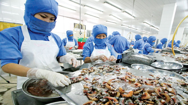 Với những mặt hàng Việt Nam xuất khẩu như thủy sản, mật ong... chúng ta phải “nói không với kháng sinh”. Ảnh: Như Ý.