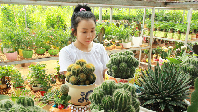 Mai Châu tỉ mỉ chăm sóc cây.