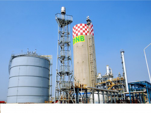 Lỗ 2.700 tỷ đồng, Đạm Ninh Bình cầu cứu Chính phủ