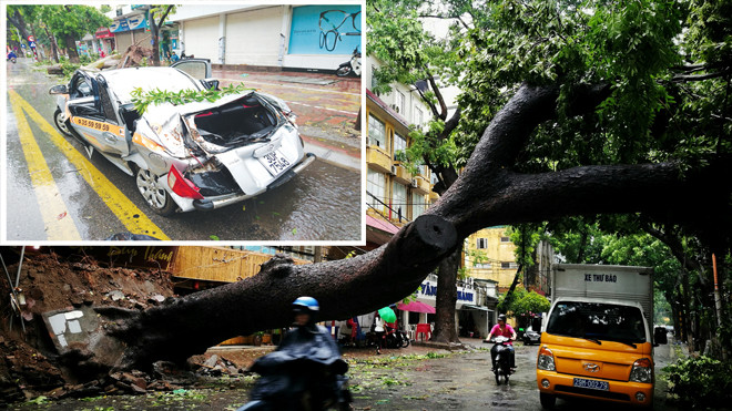 Cây xà cừ bật gốc chắn ngang đường Trần Thánh Tông, Hà Nội (ảnh lớn); Xe bẹp do cây đổ trước cửa sổ 48 Hai Bà Trưng, Hà Nội sáng 28/7. Ảnh: Bảo Khanh - Như Ý.