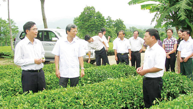Bộ trưởng NN&PTNT Cao Ðức Phát thăm và đánh giá cao mô hình hợp tác tại Công ty CP Chè Mỹ Lâm. Ảnh: Ðồng Văn.