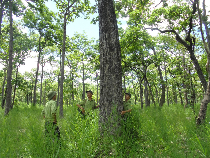 Vườn quốc gia Yok Đôn