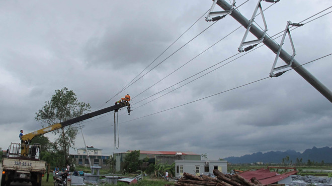 Hàng nghìn cột điện bị gãy trên địa bàn tỉnh Ninh Bình. Ảnh: Đức Hoàng.