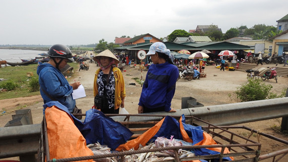 Người dân vùng bờ biển Cửa Tùng, Cửa Việt thu gom, đào hố chôn cá chết. Ảnh: H.T.