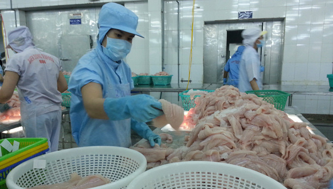 Hàng thủy sản của Việt Nam thời gian tới xuất khẩu sẽ gặp nhiều rào cản hơn từ các nước và các tham tán thương mại sẽ phải gánh trách nhiệm nặng nề hơn. Ảnh: Thục Quyên.