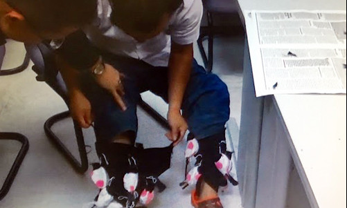 Nhiều con chim được quấn trong ống quần. Ảnh: H.Q