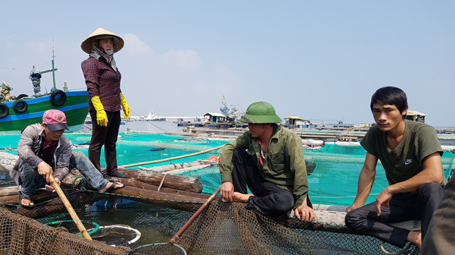 Ngư dân xã Nghi Sơn hoang mang sau vụ cá chết bất thường. Ảnh: Quang Lộc.