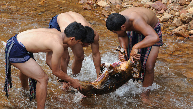 Trai làng mổ heo cúng bến nước. Ảnh: KP.