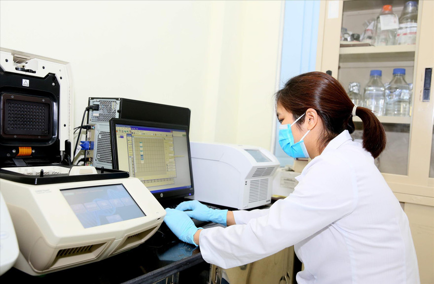 Đề tài nghiên cứu về giáo dục phải giải quyết được vấn đề thực tiễn đặt ra. Ảnh: Diệp An