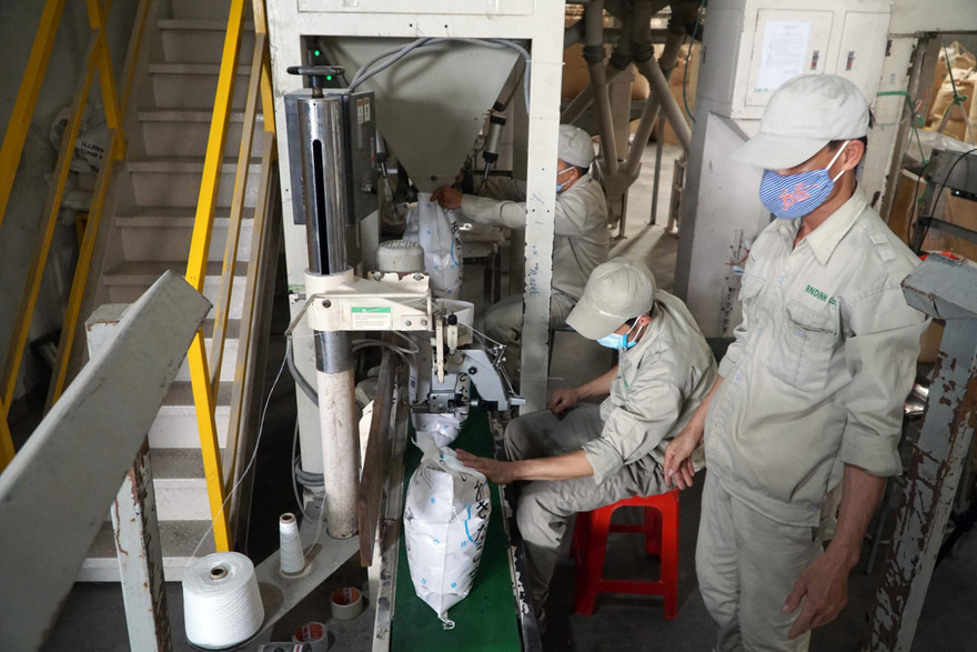 DN nhỏ là đối tượng “chết” nhiều nhất. Ảnh: Như Ý