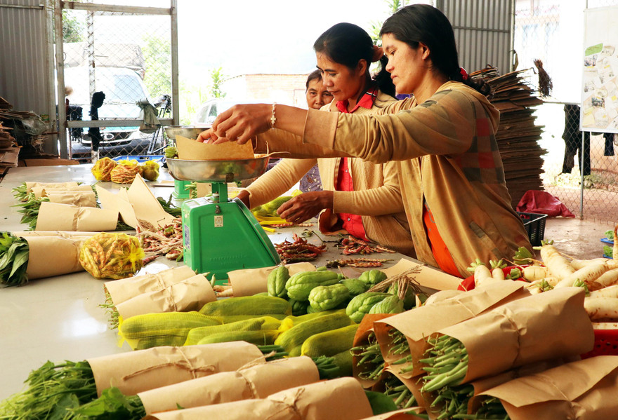 Rau được bọc bằng giấy, giảm thiểu sử dụng bao bì, rác thải nhựa