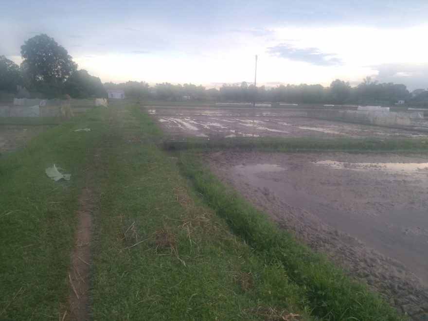 Hiện trường xảy ra vụ sét đánh khiến 4 người thương vong. Ảnh: Hoàng Lam