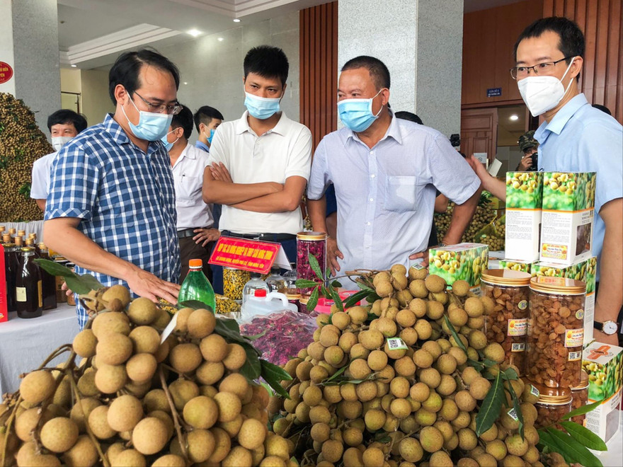 DN, hợp tác xã cần xây dựng vùng trồng chất lượng, tiêu chuẩn, không thể làm kiểu "ăn xổi" như trước 