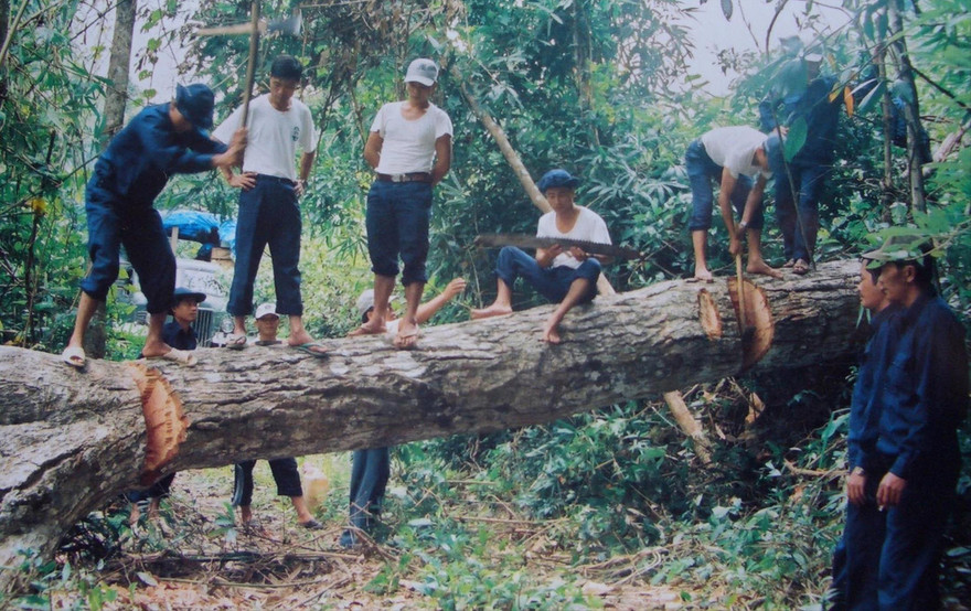 Mở đường đi tìm đồng đội 