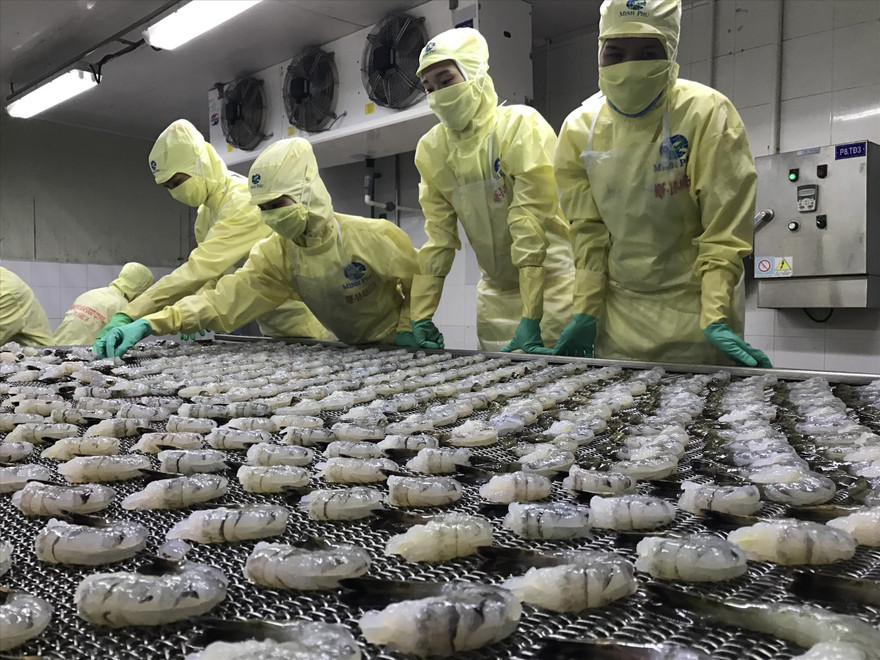 Thủy sản là 1 trong 7 mặt hàng xuất khẩu chính, nhưng trong tháng 7, kim ngạch đã giảm gần 6% so với tháng trước. Ảnh: Nam Khánh