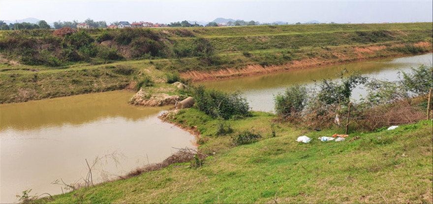 Sông Tích nhiều đoạn bị ngăn dòng chảy 