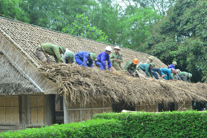 Ông Huệ cùng tổ nhóm thay “áo mới” mái tranh nhà Bác Hồ 