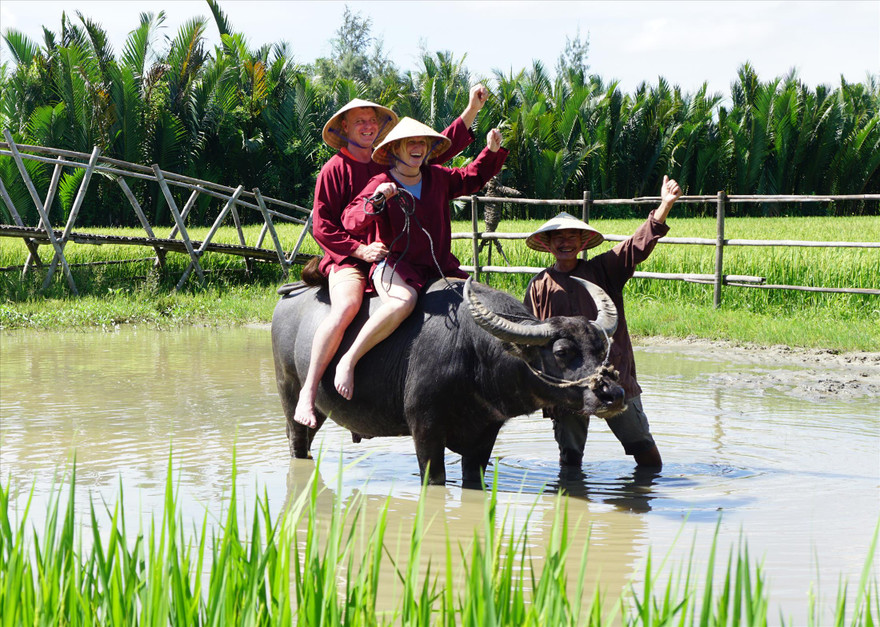 Dắt trâu… làm du lịch