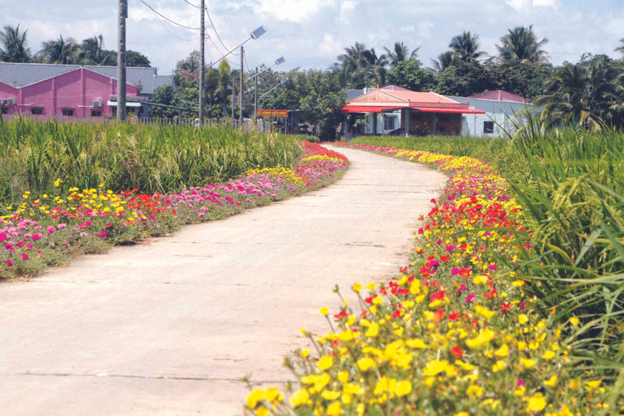 Một làng nông thôn mới ở Mỹ Tú, Sóc Trăng 