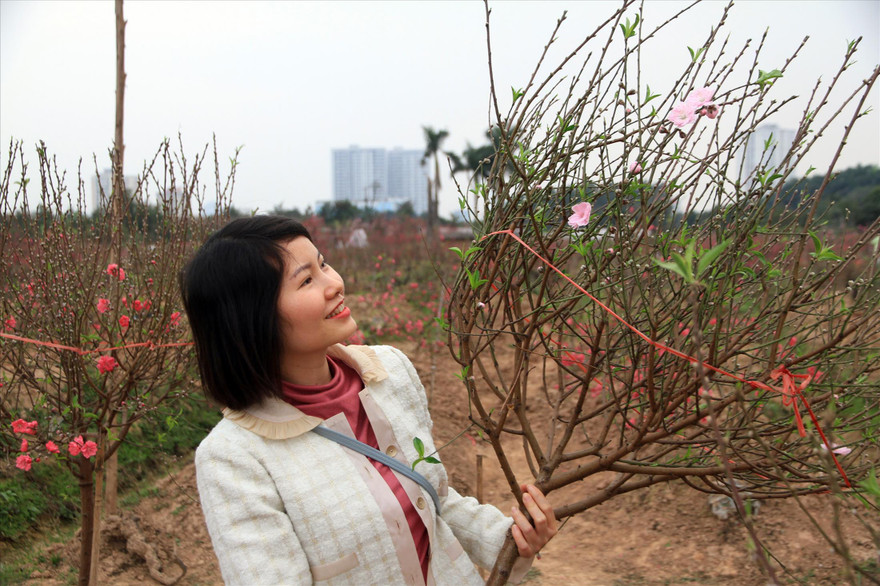 Rước Xuân về nhà. Ảnh: N.M.Hà