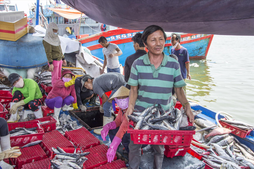  Thuyền trưởng Đỗ Bin ở huyện Bình Sơn (tỉnh Quảng Ngãi) và nhiều ngư dân khác phàn nàn chuyện xếp hàng chờ chữ ký 