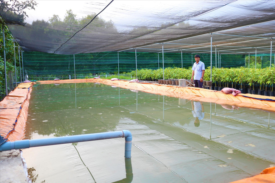 Ao nước dã chiến với sức chứa 70m3 của ông Oanh Ảnh: Kim Hà 