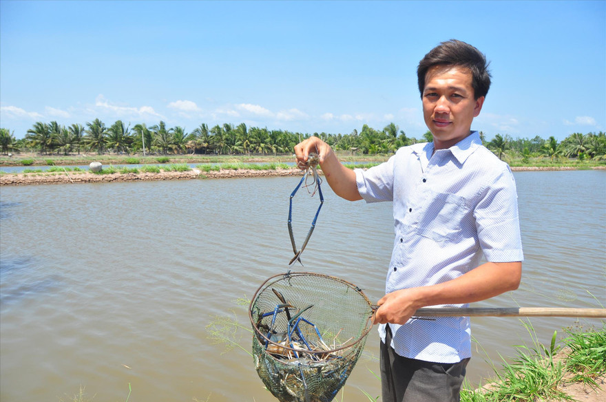  Người dân ở ấp Cồn Chim nuôi tôm làm du lịch ảnh: H.H