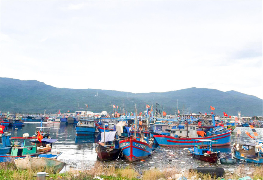 Tàu thuyền neo đậu, trú tránh bão tại âu thuyền Thọ Quang (Đà Nẵng) Ảnh: Nguyễn Thành 
