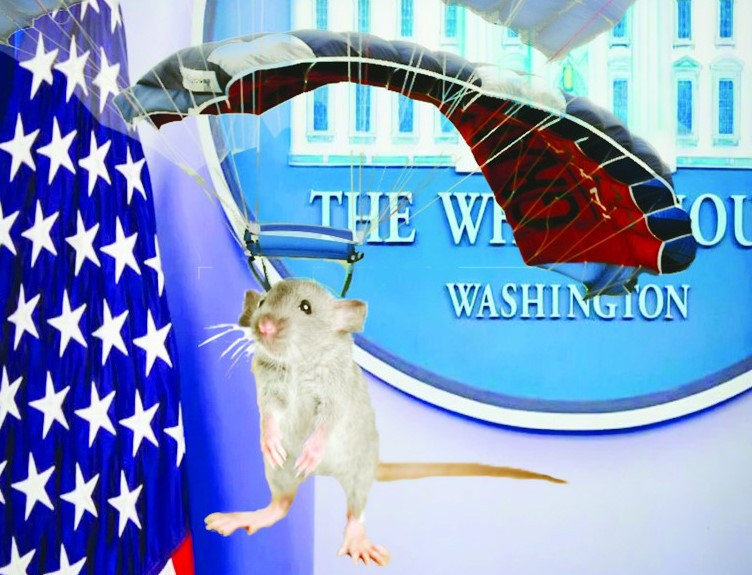 Ảnh "chế" một con chuột nhảy dù trong Nhà Trắng Ảnh: Wordpress