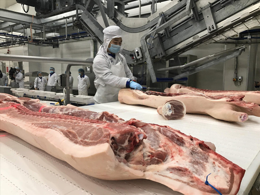 Theo các chuyên gia, cần đẩy nhanh nhập khẩu mới hạ nhiệt giá thịt lợn trong nước ảnh: Bình Phương