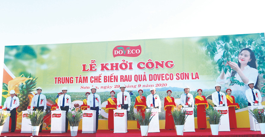 Trung tâm chế biến rau quả DOVECO Sơn La dự kiến đi vào hoạt động cuối năm 2021, giúp bao tiêu nông sản cho hàng nghìn hộ nông dân