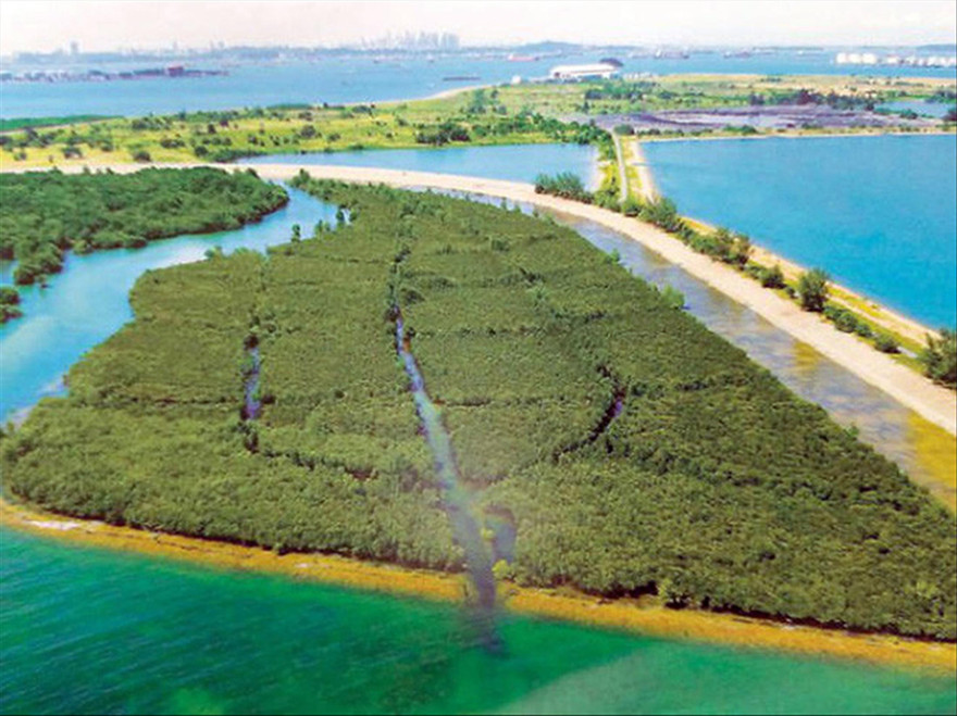 Đảo rác nổi Semakau trở thành khu bảo tồn thiên nhiên và du lịch 