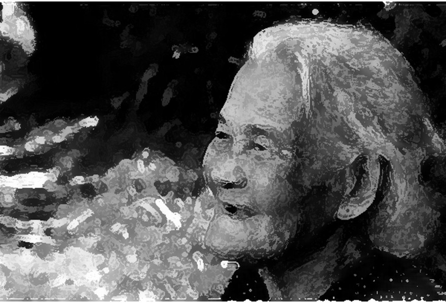 Minh họa: Đỗ Hùng