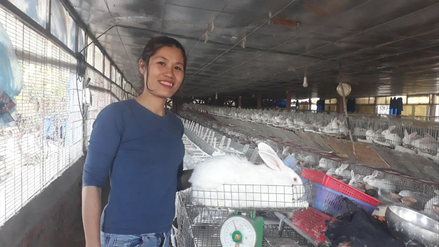 Chị Thân Thị Ái Vân khởi nghiệp thành công với mô hình nuôi thỏ Ảnh: N.T 